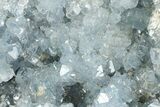 Sparkling Celestine (Celestite) Geode Section - Madagascar #364745-1